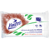 Linteo Meubelreinigingsdoekjes 40 stuks