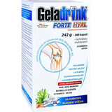Geladrink FORTE HYAL 360 capsule