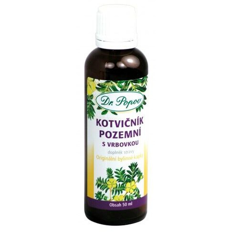 Dr Popov Acciuga macinata con salice 50 ml