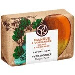 Yves Rocher Sapone al mango e coriandolo 80 g Yves Rocher Sapone al mango e coriandolo 80 g