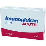 Pleuran Imunoglucan P4H ACUTE 300 mg 5 capsules