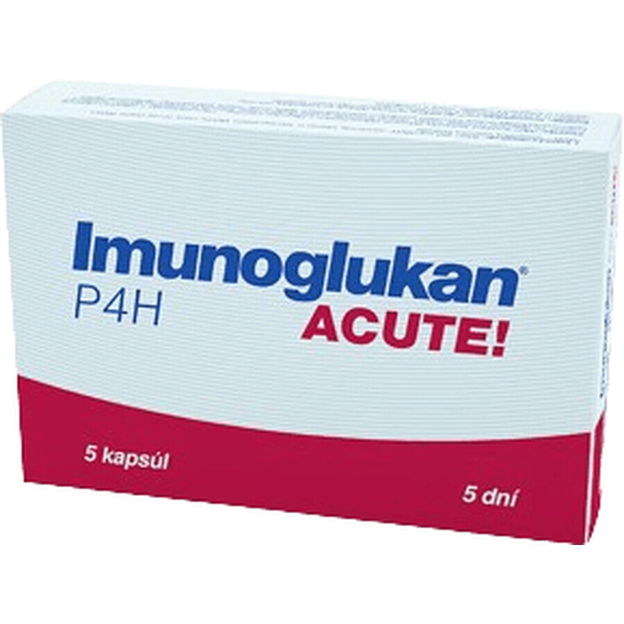 Pleuran Imunoglucan P4H ACUTE 300 mg 5 capsule