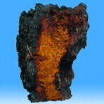 MRL Good Nature Chaga 90 comprimés MRL Good Nature Chaga 90 comprimés