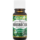 Saloos Clove 10 ml