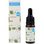 Kvitok Facial Serum - MSM 10 ml