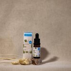 Kvitok Facial Serum - MSM 10 ml