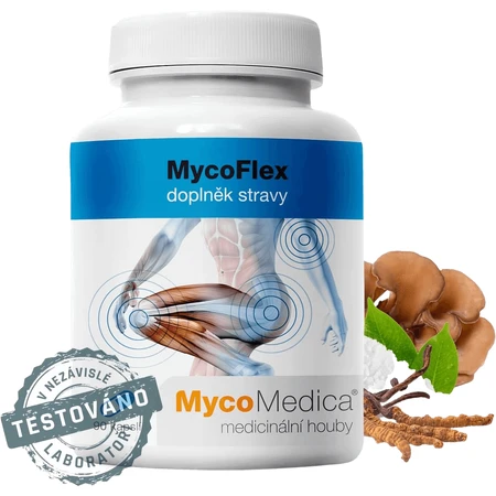 MycoMedica MycoFlex 90 capsules