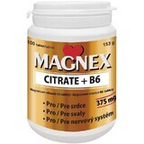 Vitabalans Oy Magnex Citraat + B6 100 tabletten