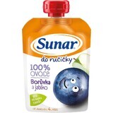 Sunar Do ručičky blueberry fruit capsule 4m+ 1 x 100 g