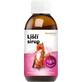 MycoMedica vossenstroop 200 ml