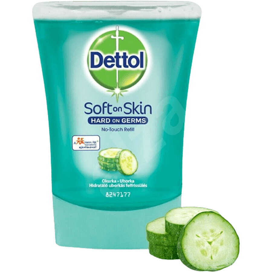 Cumpără Dettol Refill fără sticlă. dozator Freshness Cucumber 250 ml Dettol Refill fără sticlă. dozator Freshness Cucumber 250 ml