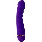 Vibratore intenso Sally - 20 velocità in silicone viola Vibratore intenso Sally - 20 velocità in silicone viola