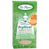 Dr. Popov Psyllicol orange soluble fiber 100 g
