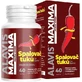 Alavis Maxima Fat Burner 40 Kapseln