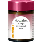 Mucoplant Erkältungssalbe 50 g