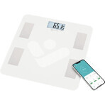 TrueLife FitScale W4 BT - slimme diagnostische weegschaal TrueLife FitScale W4 BT - slimme diagnostische weegschaal