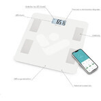 TrueLife FitScale W4 BT - slimme diagnostische weegschaal TrueLife FitScale W4 BT - slimme diagnostische weegschaal