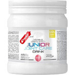 Penco Junior Joint Care Melon 450 g Penco Junior Joint Care Melon 450 g