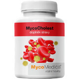 MycoMedica MycoCholest 120 capsules