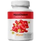 MycoMedica MycoCholest 120 cápsulas