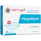 Barny's HerpeNorm™ 10 capsule