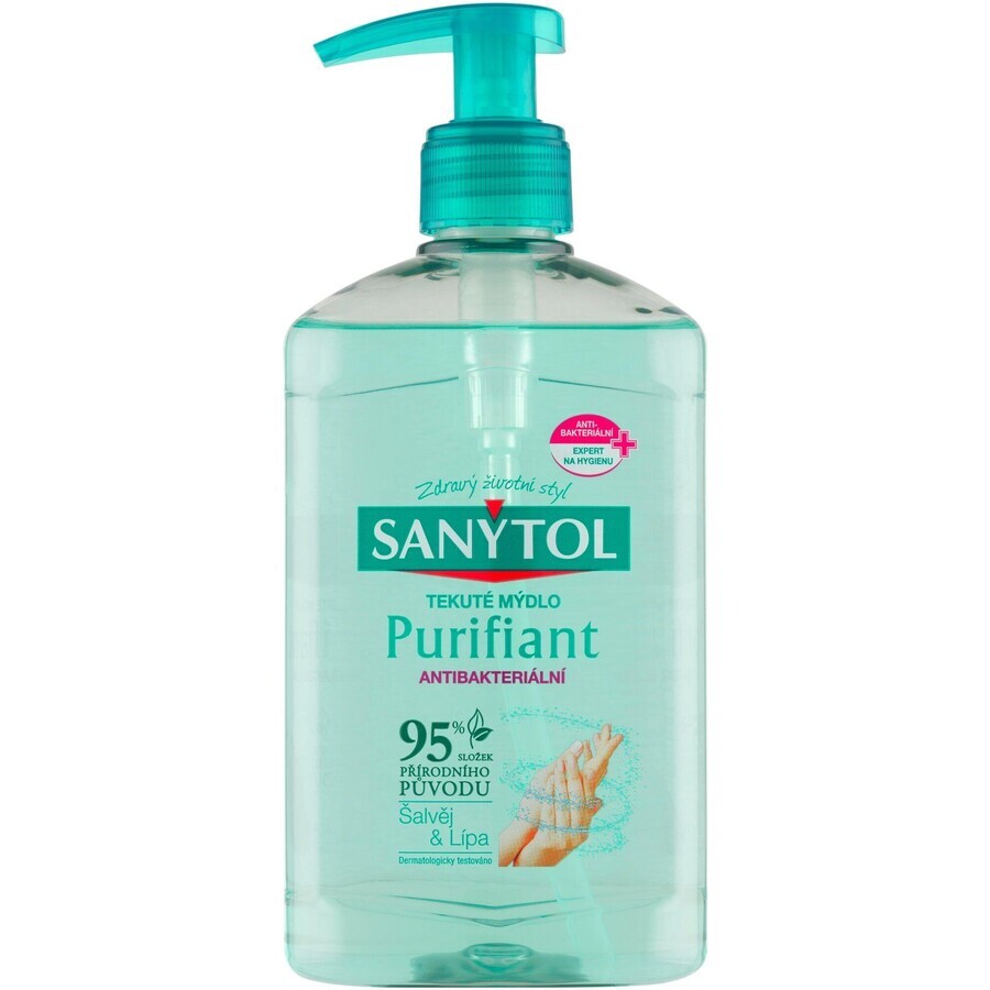 Acquista Sanytol Sapone disinfettante - Purificante 250 ml Sanytol Sapone disinfettante - Purificante 250 ml