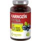 CarnoMed Carnosine Extra 120 gélules