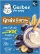 Gerber gachas de avena sin leche con trigo y avena 200 g