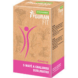 Fyto Pharma Figuran Fit Ceai din plante, porționat 20 x 1,5 g