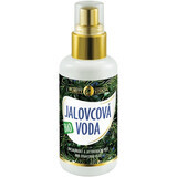 Purity Vision Biologisch Bosbessenwater 100 ml