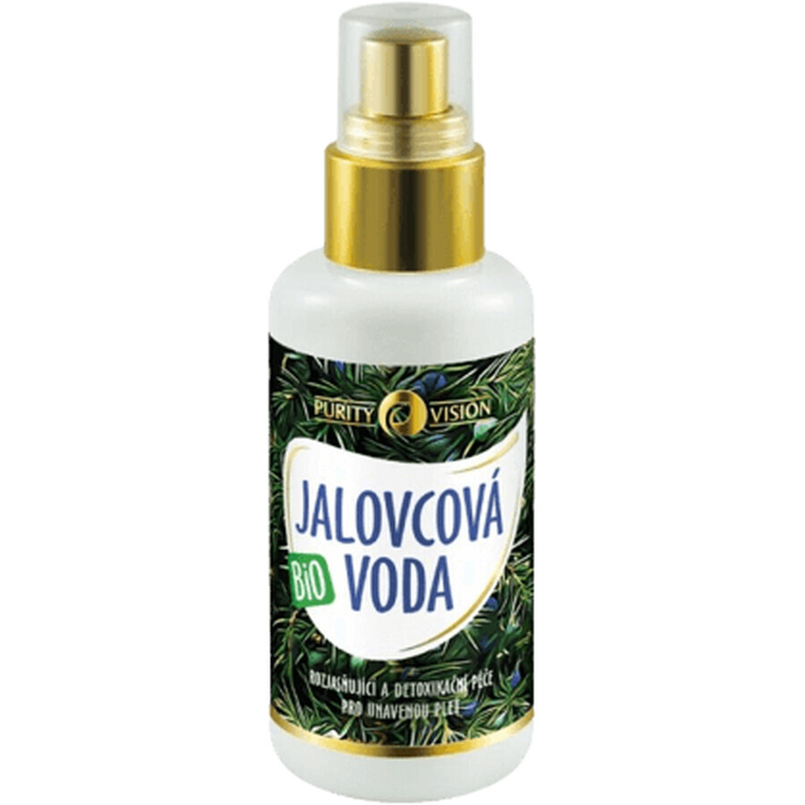 Purity Vision Agua de Arándanos 100 ml