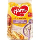 Hami 7-Korn-Brei mit Äpfeln und Pflaumen 210 g