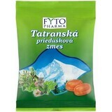 Fyto Pharma Candy Tatra Bronchial Mix 60 g