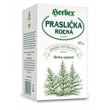 Herbex Horsetail thé en vrac 50 g