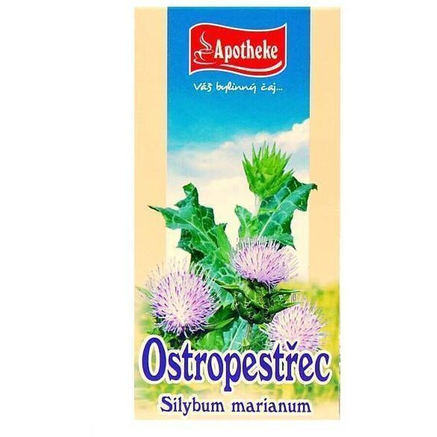 Buy Apotheke Thistle tea 20 x 2 g Apotheke Thistle tea 20 x 2 g