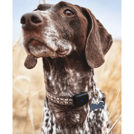 LAMAX GPS Locator met halsband, zwart