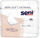 Seni