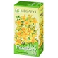 Megafyt Té de hipérico, 20 x 1,5 g
