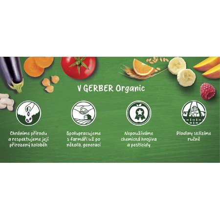 Gerber Biologische zuivelvrije pap met vanillesmaak 200 g