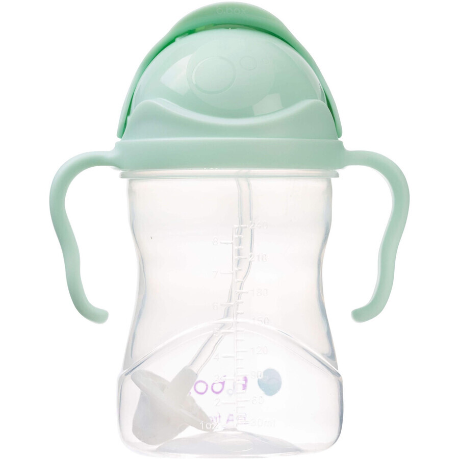 B. box Pistazien-Gelato-Strohhalmbecher, 240 ml