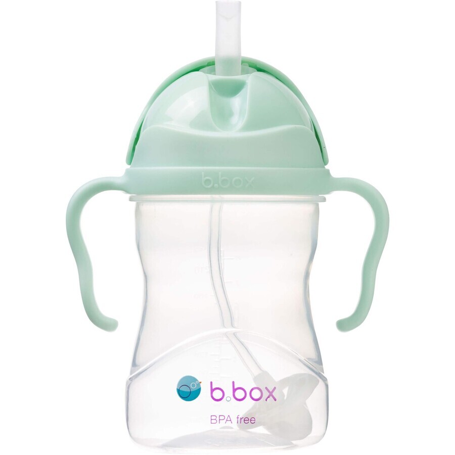 B. box Pistazien-Gelato-Strohhalmbecher, 240 ml