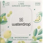 Waterdrop Focus 12 pz.