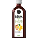 Leros Ginger juice with ginger and lemon juice 250 ml