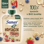 Sunar Organic fruit capsule Hopscotch strawberry, banana, blueberry and oatmeal 100 g