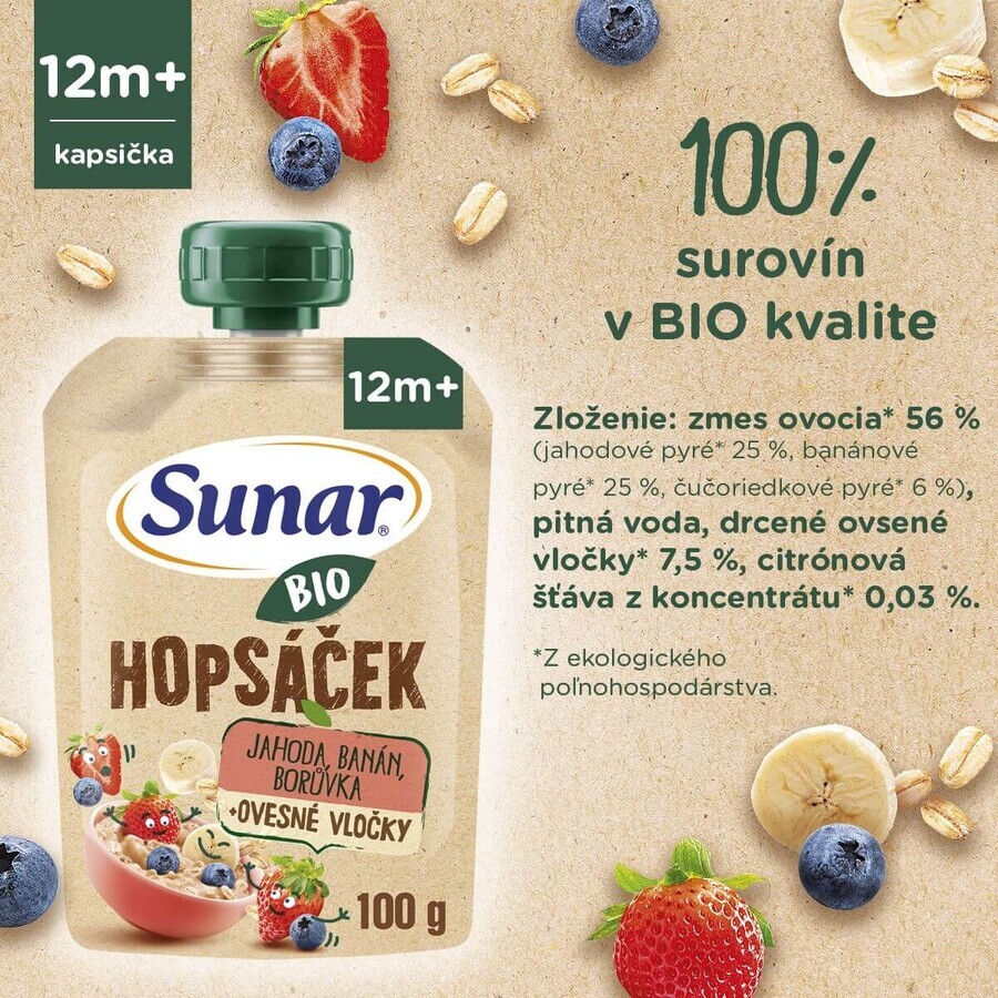 Sunar Organic fruit capsule Hopscotch strawberry, banana, blueberry and oatmeal 100 g