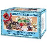 Herbex Thé d'hiver à l'échinacée sachets 20 x 3 g