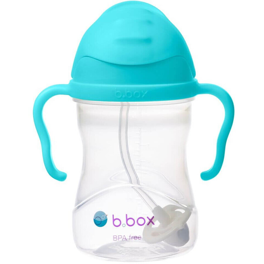 B. blikje Kan met rietje, aqua 240 ml
