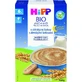 HiPP BIO Papilla de Noche con Galletas 250 g
