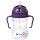 B. Dose Wasserflasche mit Traubenstrohhalm