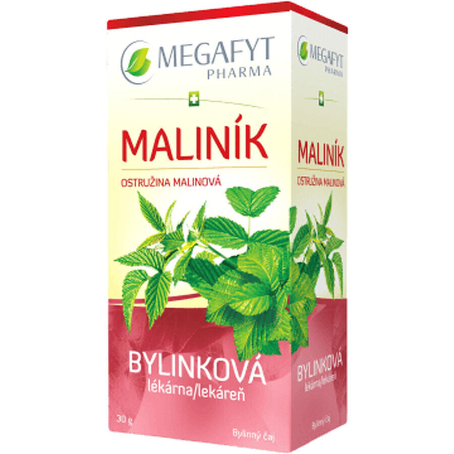 Megafyt Kruidenapotheek Bramen Framboos 20 x 1,5 g
